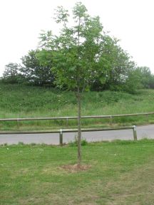 Greenwich Meridian Marker; England; Lincolnshire; Cleethorpes